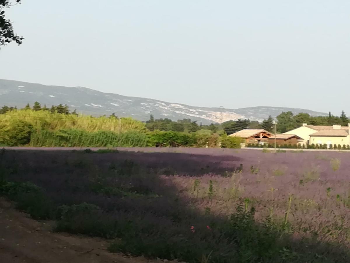 مبيت وإفطار ليه ثور Au Pays Du Ventoux المظهر الخارجي الصورة